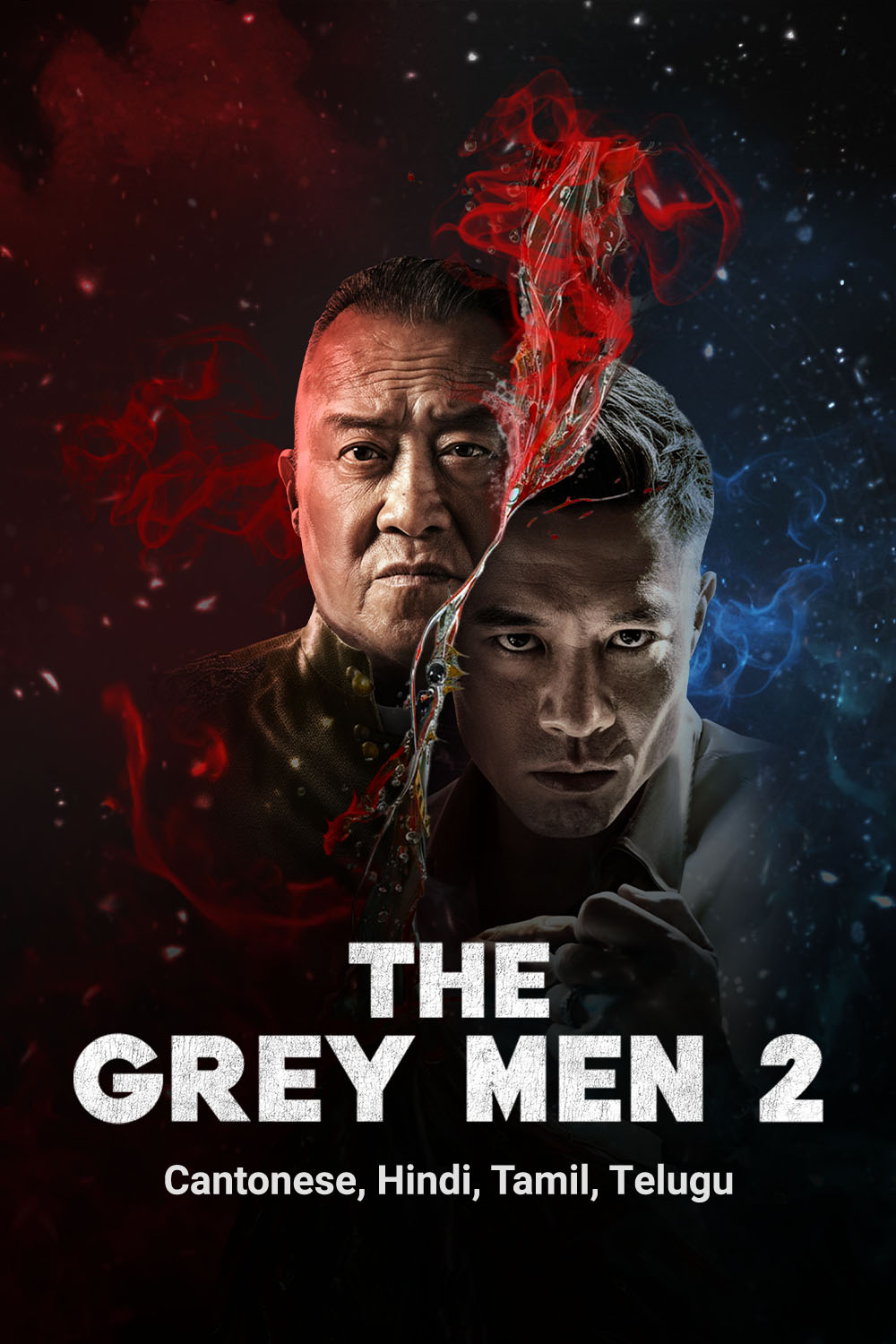 The Grey Men 2 (2025) movie poster download